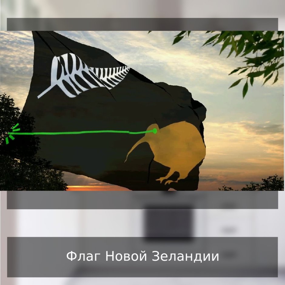 Флаг новой Зеландии с киви и лазером