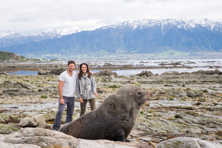Музей Антарктики в Крайстчерче в новой Зеландии