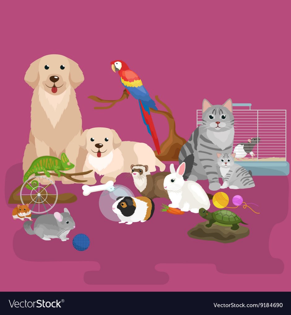 Собака кошка попугай