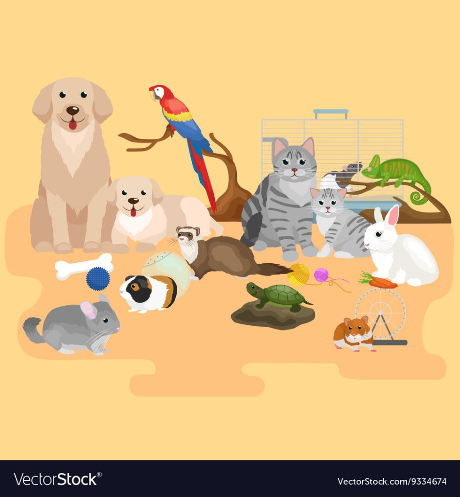 Домашние питомцы рисунок