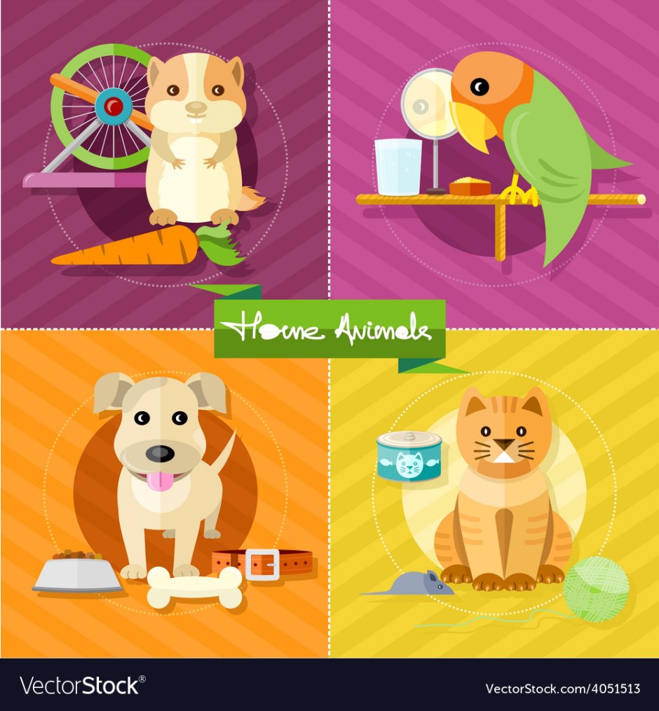 Собака кошка хомяк