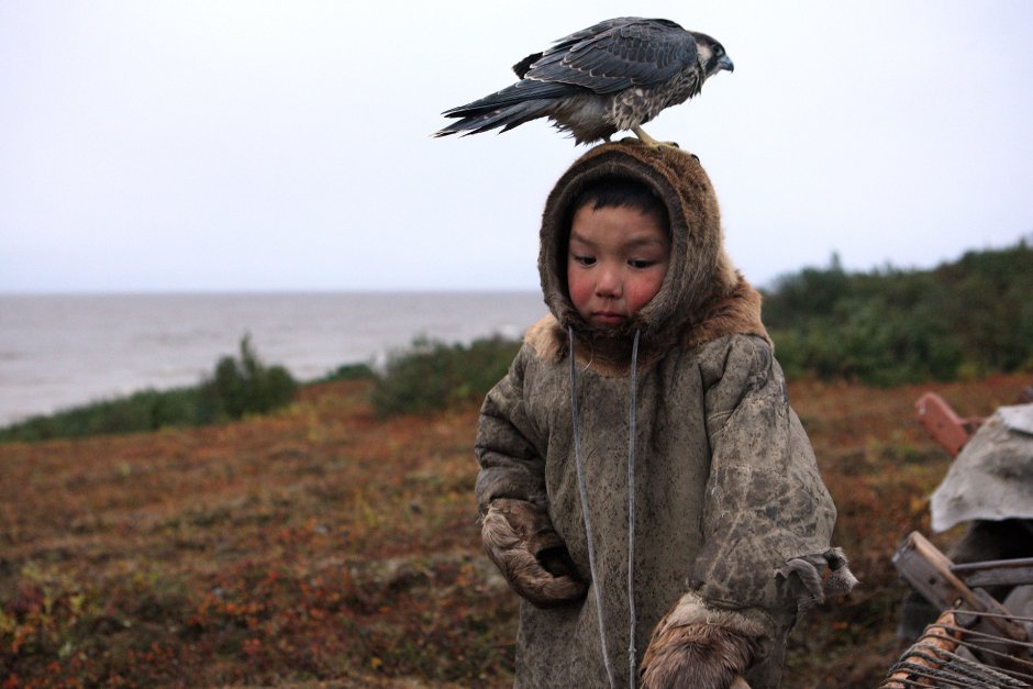 Тундра для детей