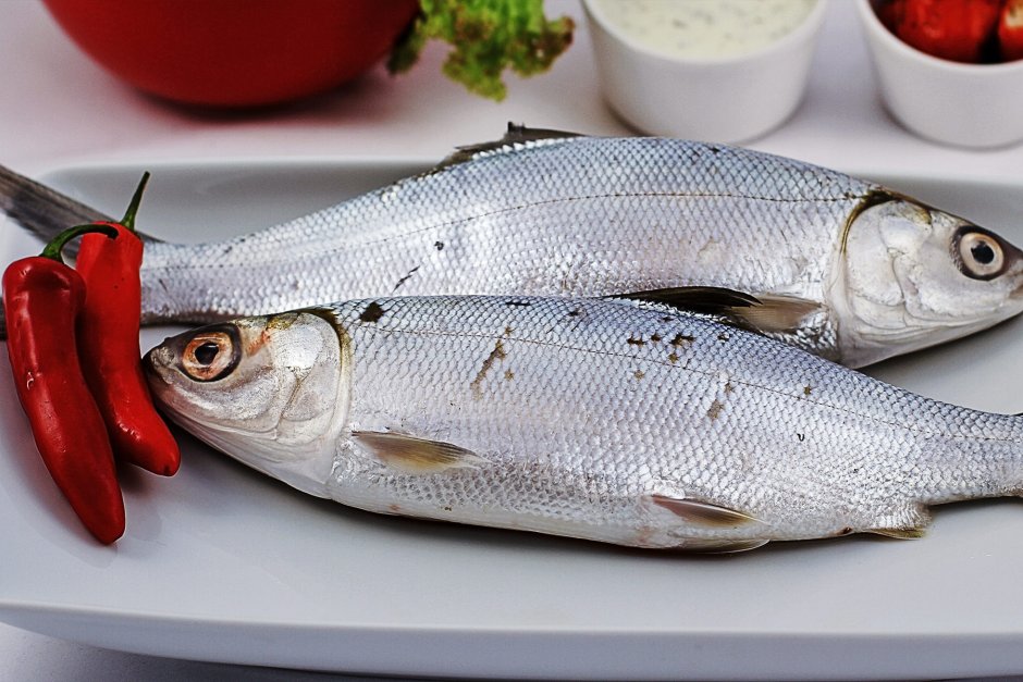 Ханос вяленый