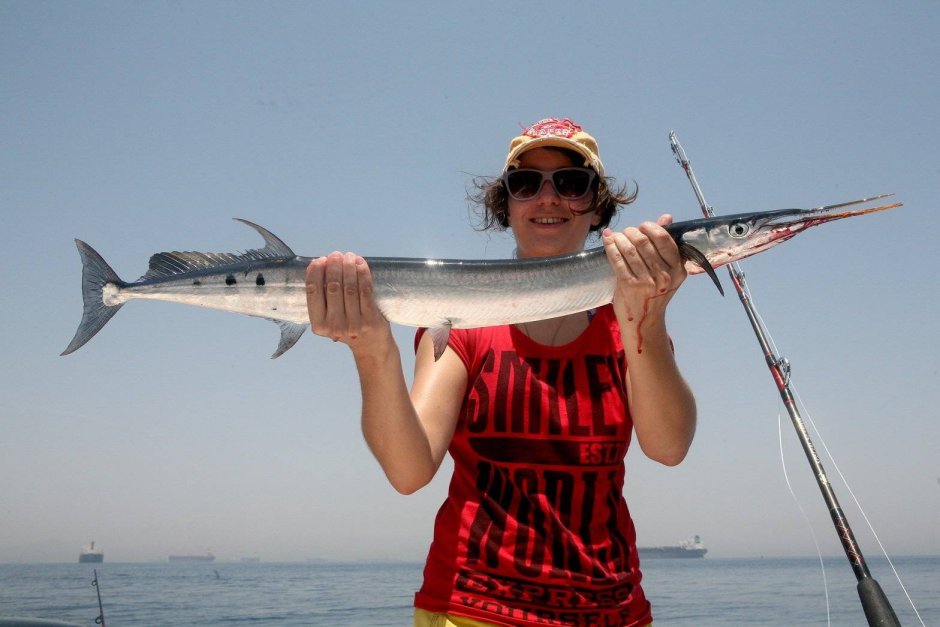 Черноморская рыба Сарган