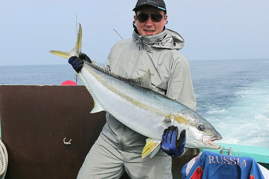 С.... желтохвостая лакедра желтохвостая