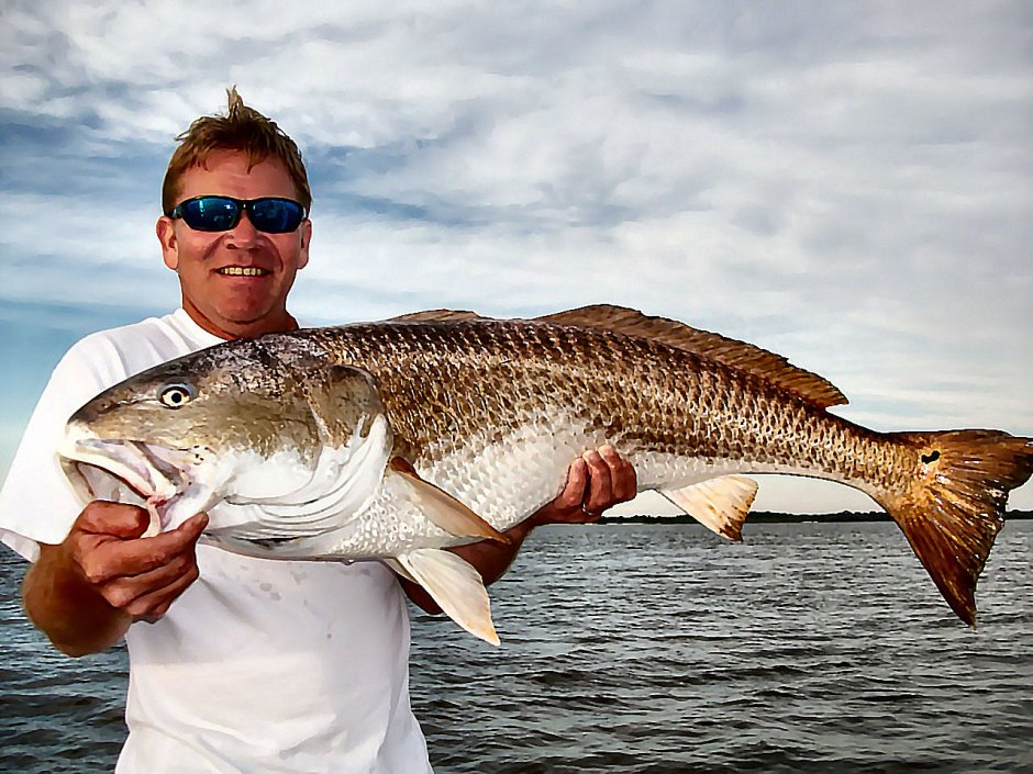 Кафельник рыба