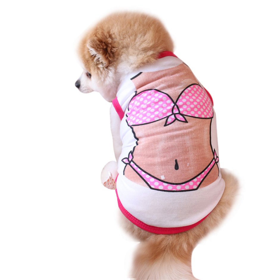 Собака в купальнике