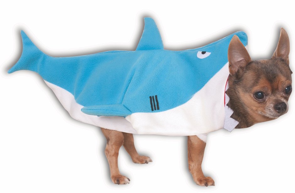 Карнавальные костюмы для собак