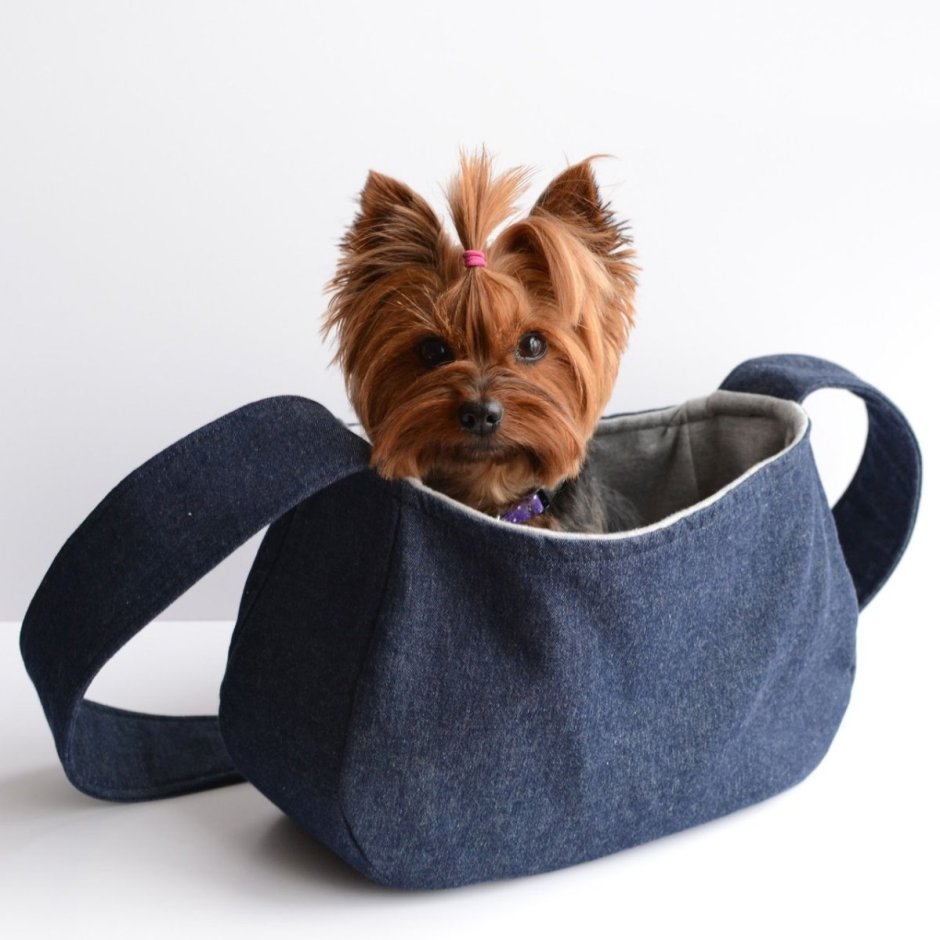 Сумка для маленькой собачки