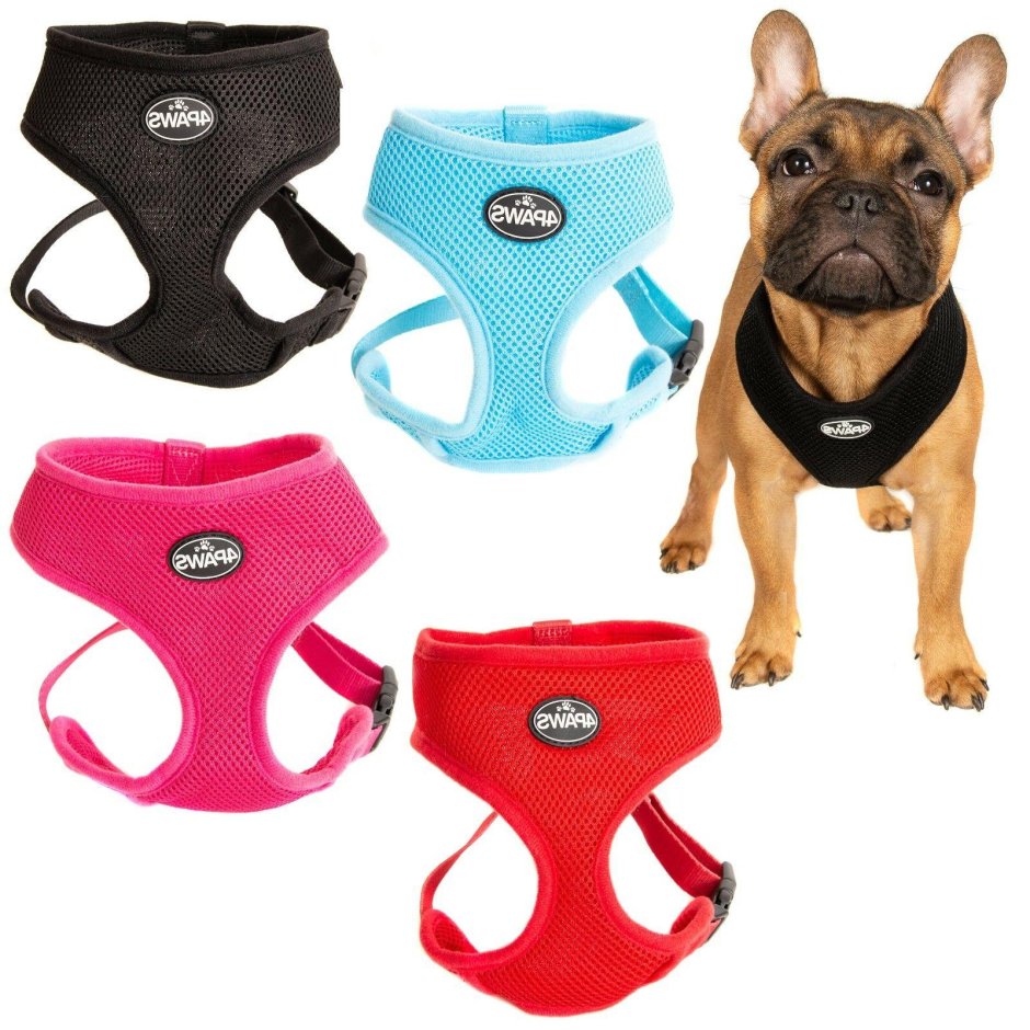 Шлейка-жилетка для маленьких собак Rukka