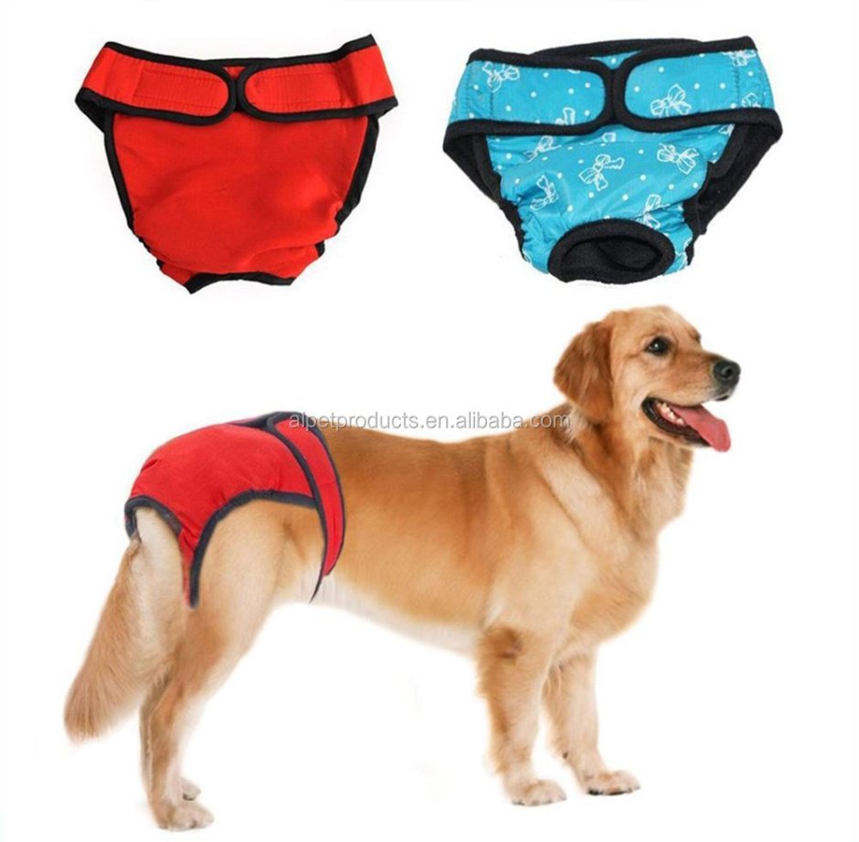 Памперсы для собак крупных пород