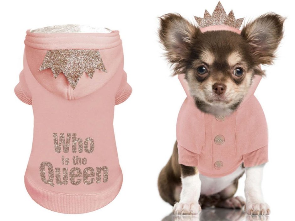 Одежда для собак чихуахуа для девочек