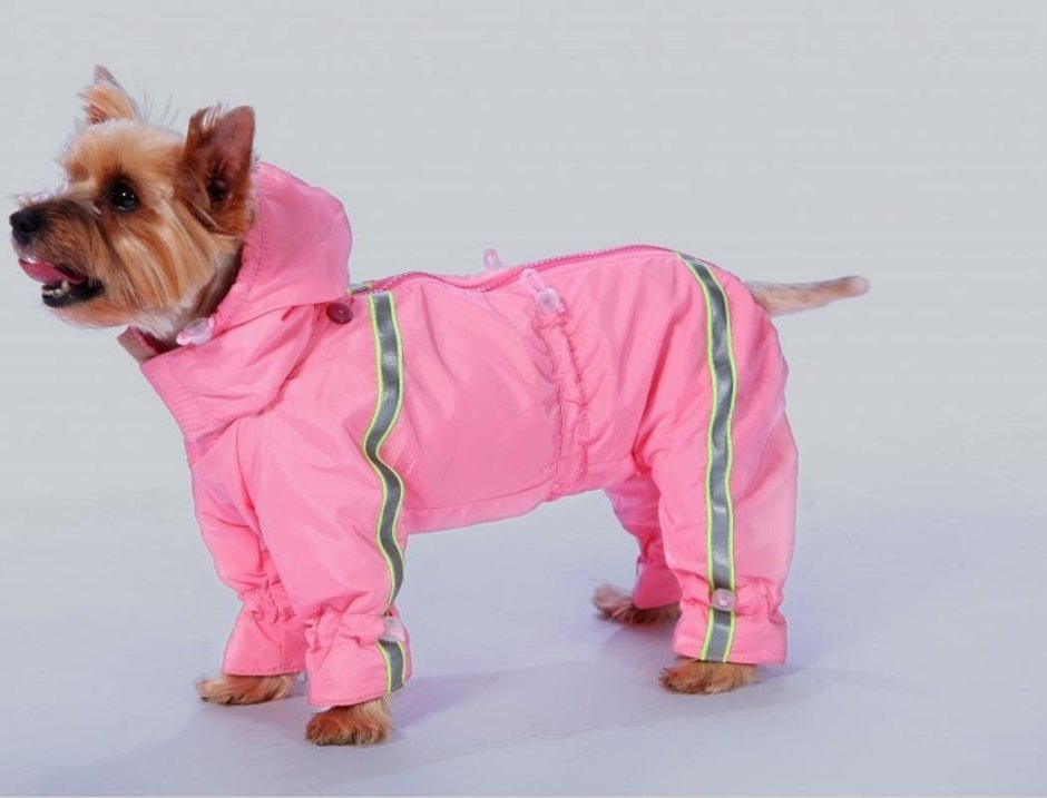 Комбинезон Тузик для собак Йорк 2