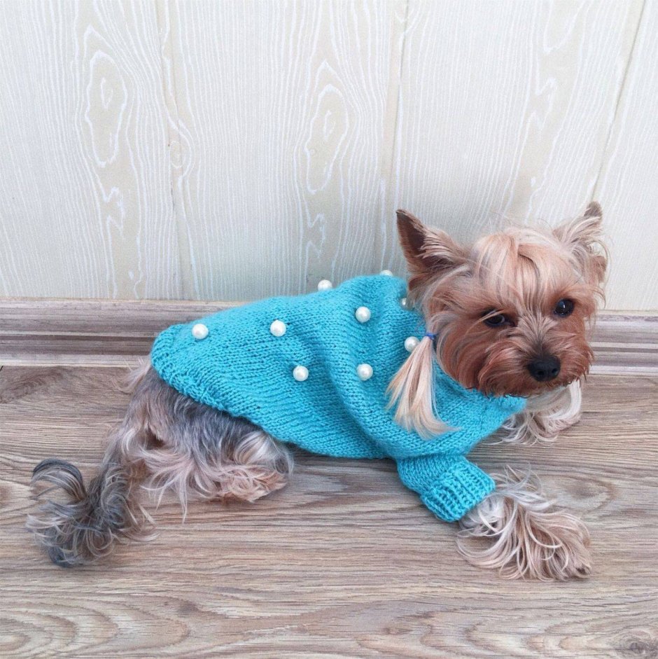 Вязаная кофта для собаки