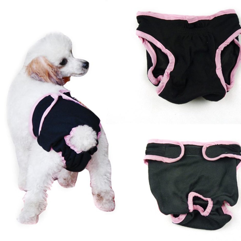 Подгузники для собак диаперс