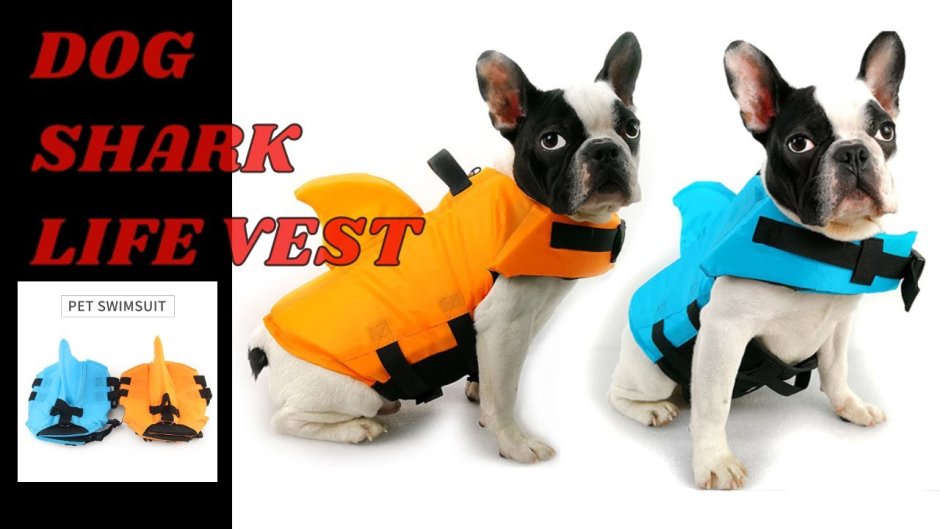 Спасательный жилет для собаки акула