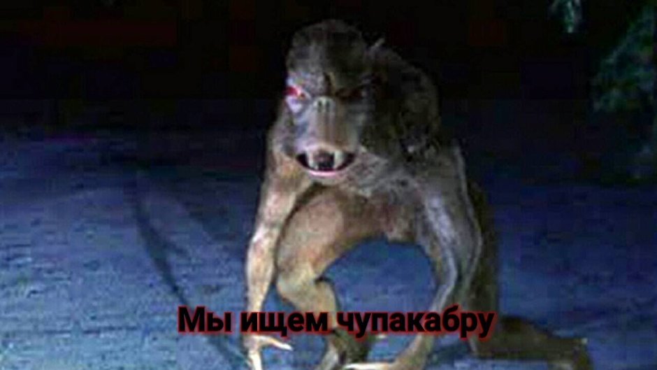 Белорусская чупакабра