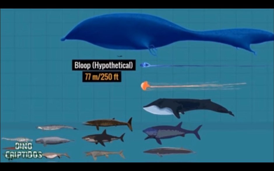 The Bloop морской монстр