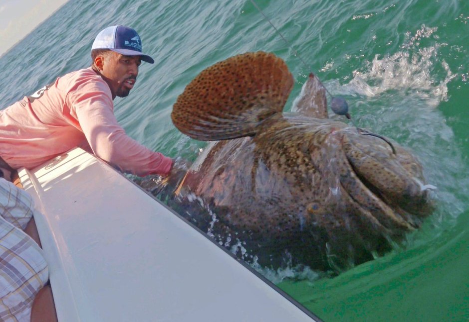 Монстр Goliath Grouper