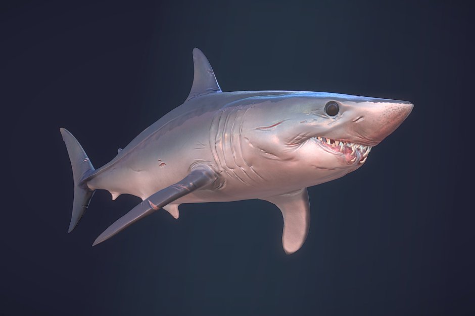 МЕГАЛОДОН мако