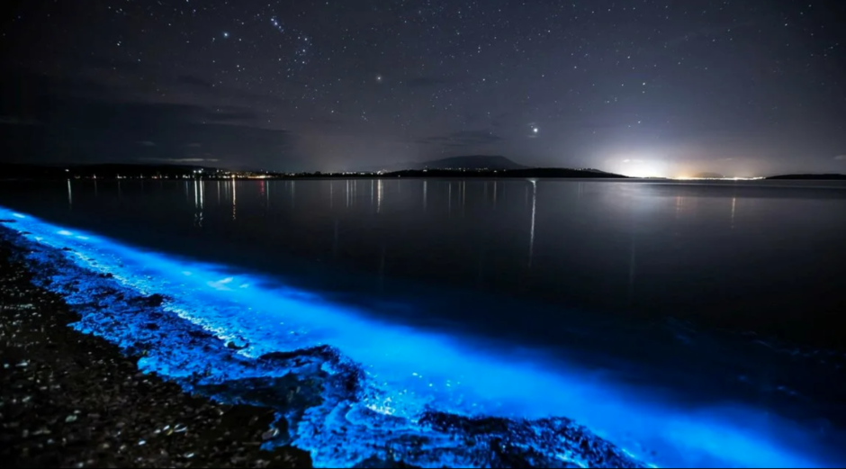 Светящийся остров на Мальдивах Ваадху