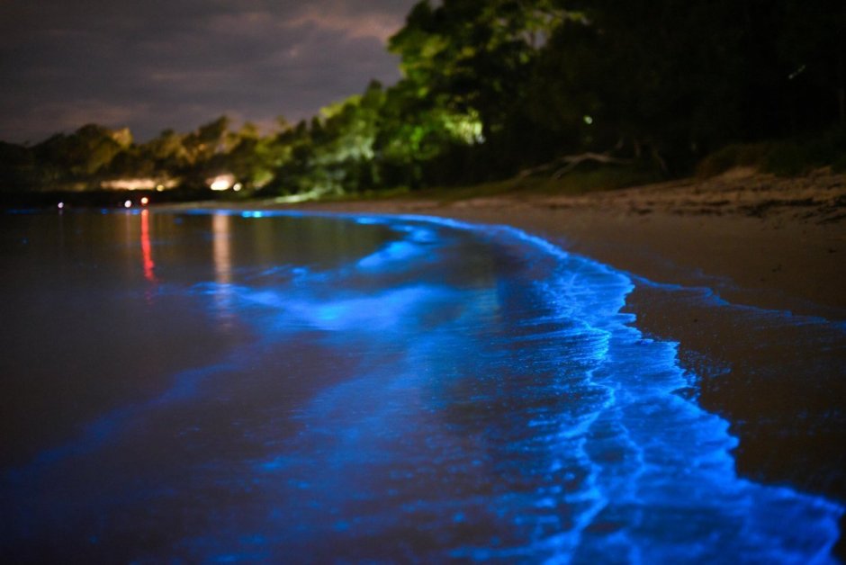 Остров Ваадху Мальдивы