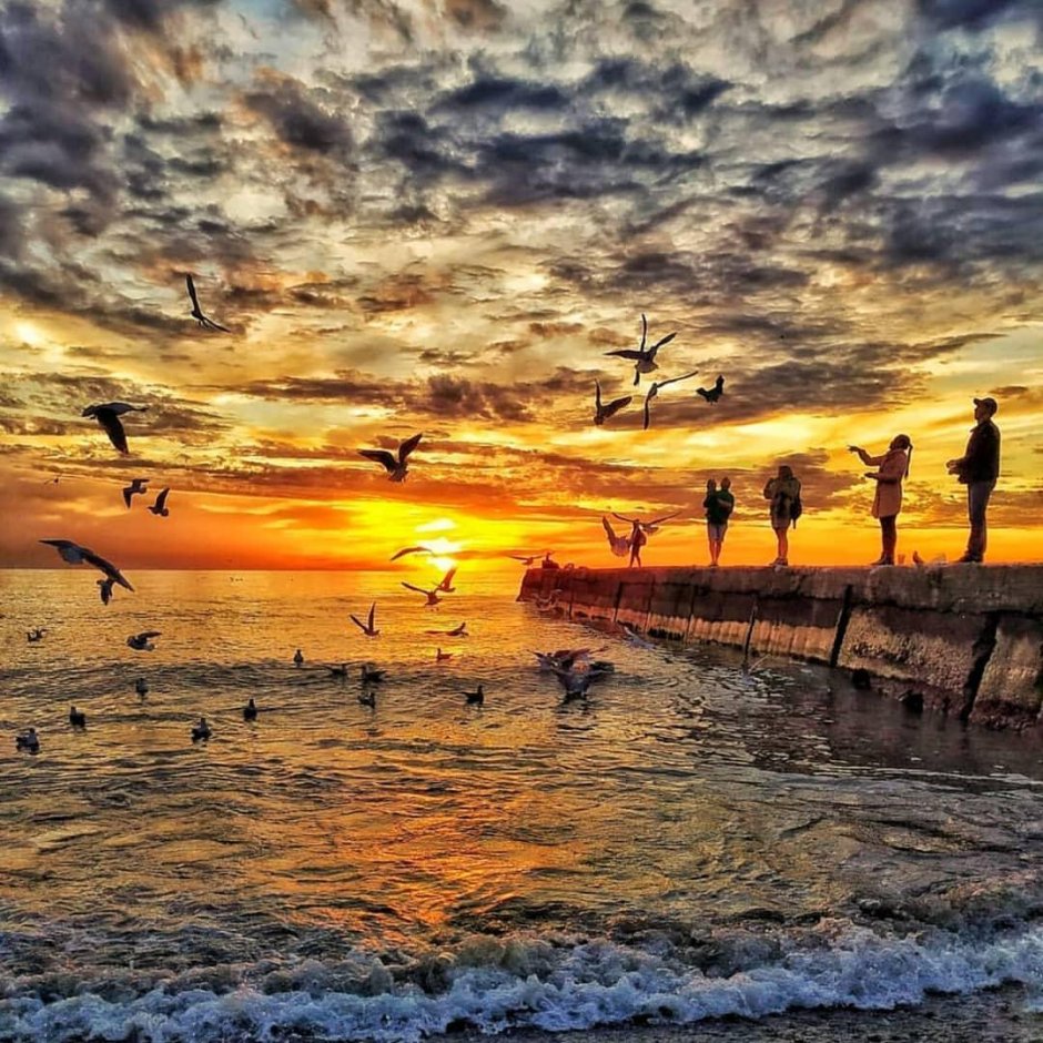 Закат адлер