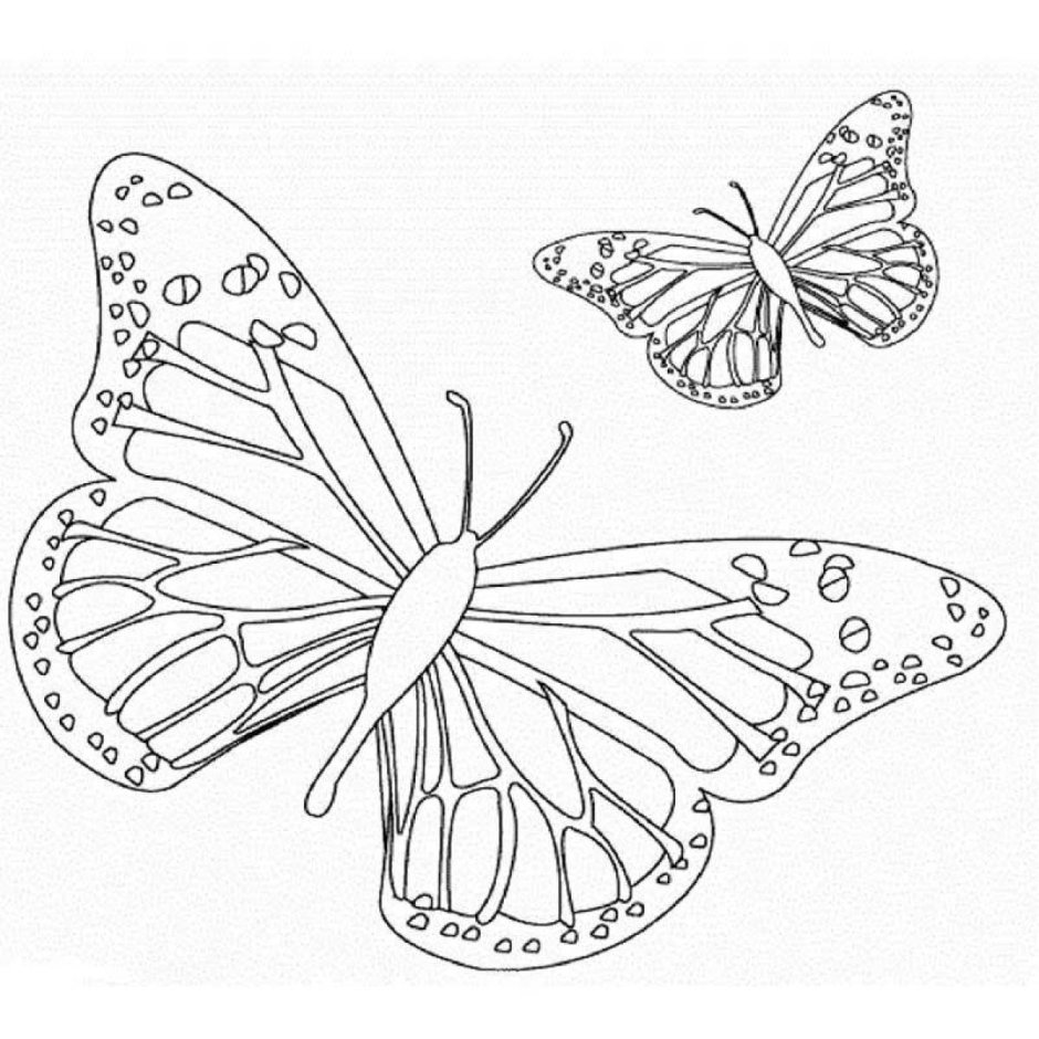 Раскраска 2 бабочки. Раскраска "бабочки". Бабочка раскраска для детей. Раскраски бабочки красивые. Рисунок бабочки для раскрашивания.