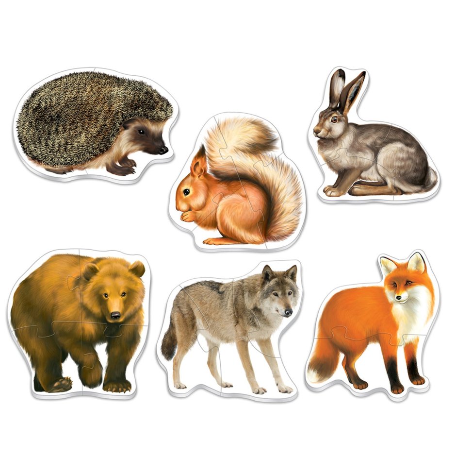 Лиса, волк, заяц, ёж, медведь, белка
