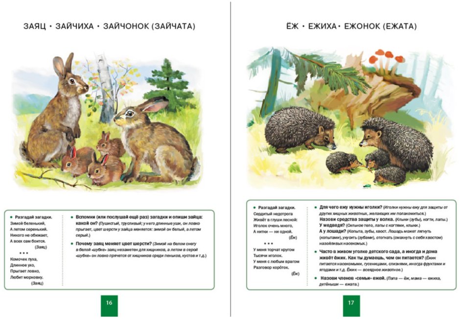 Тематический словарь домашние и Дикие животные средней полосы