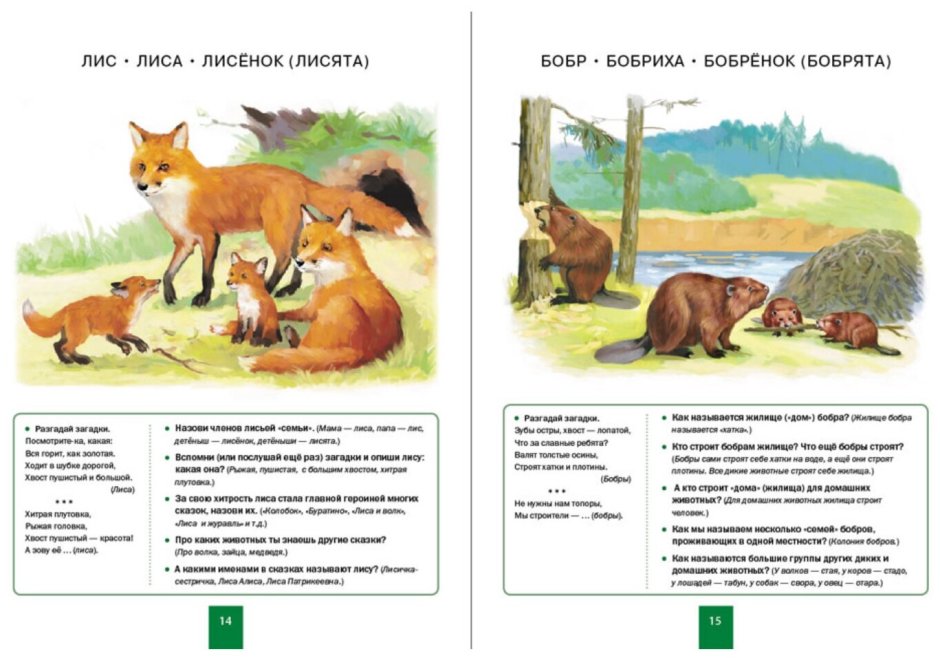 Мир животных. Домашние и Дикие животные средней полосы