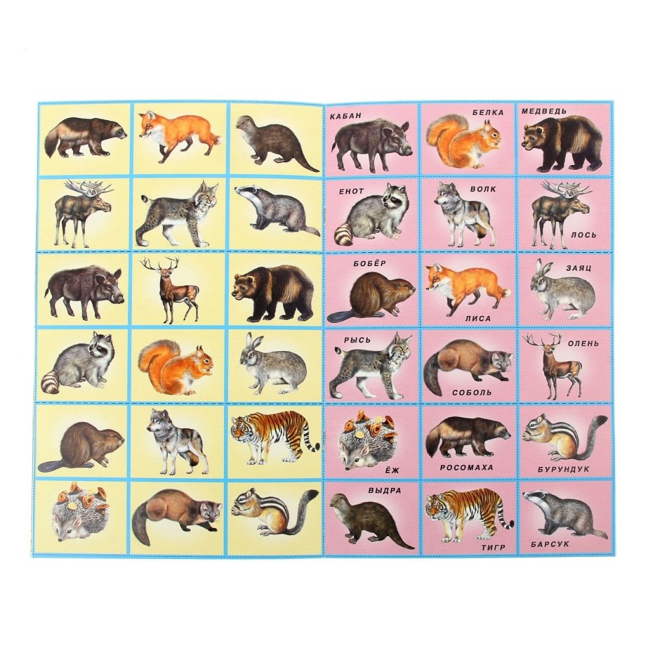 Дикие животные для детей