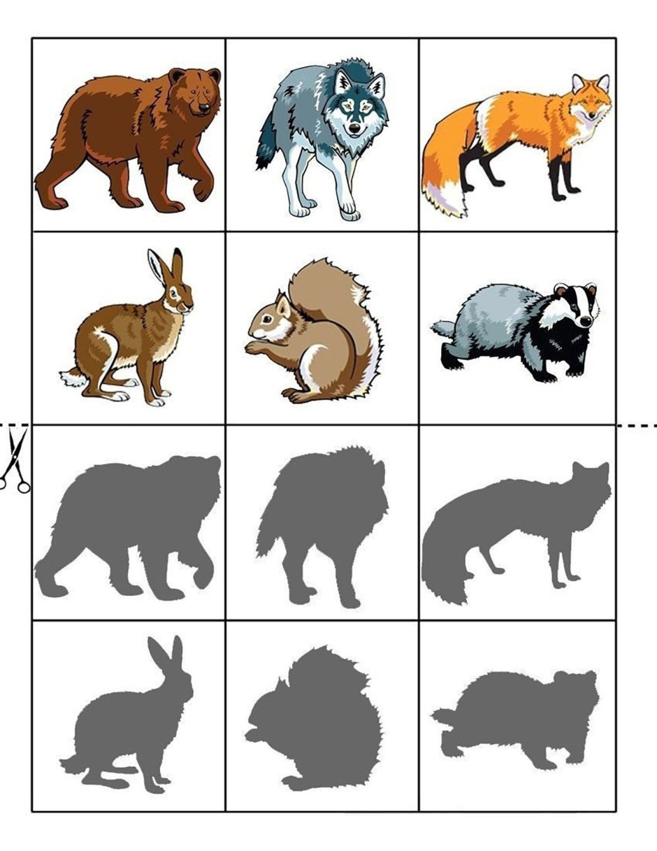 Животные средней полосы россии картинки для детей