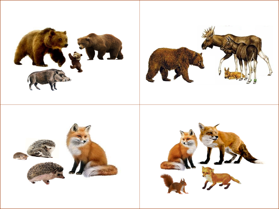 Четвертый лишний Дикие животные