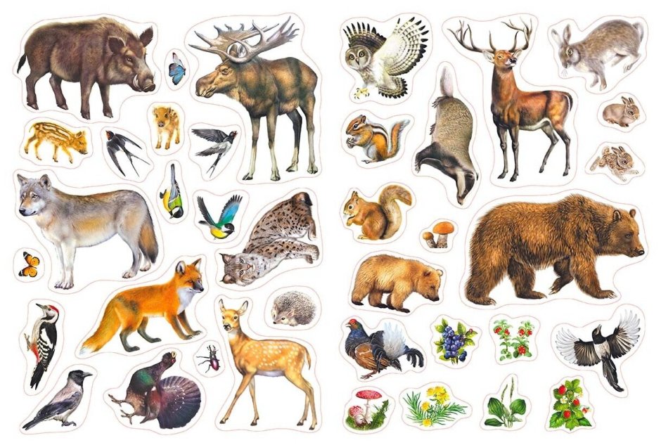 С наклейками Лесные животные