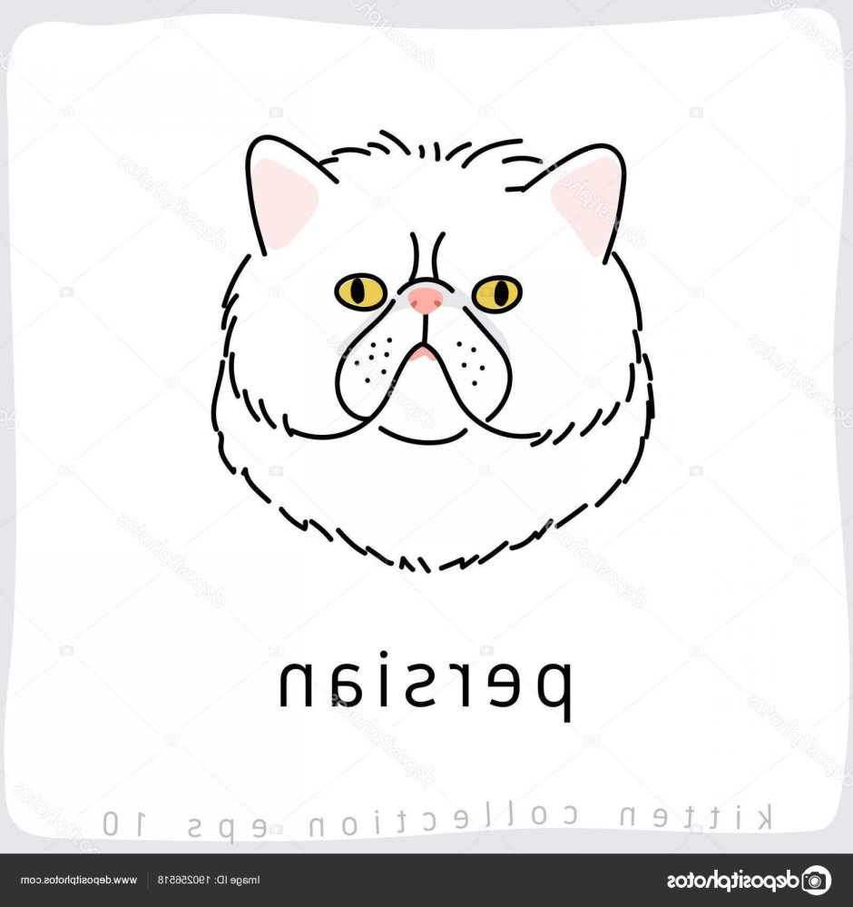 Персидская кошка вектор