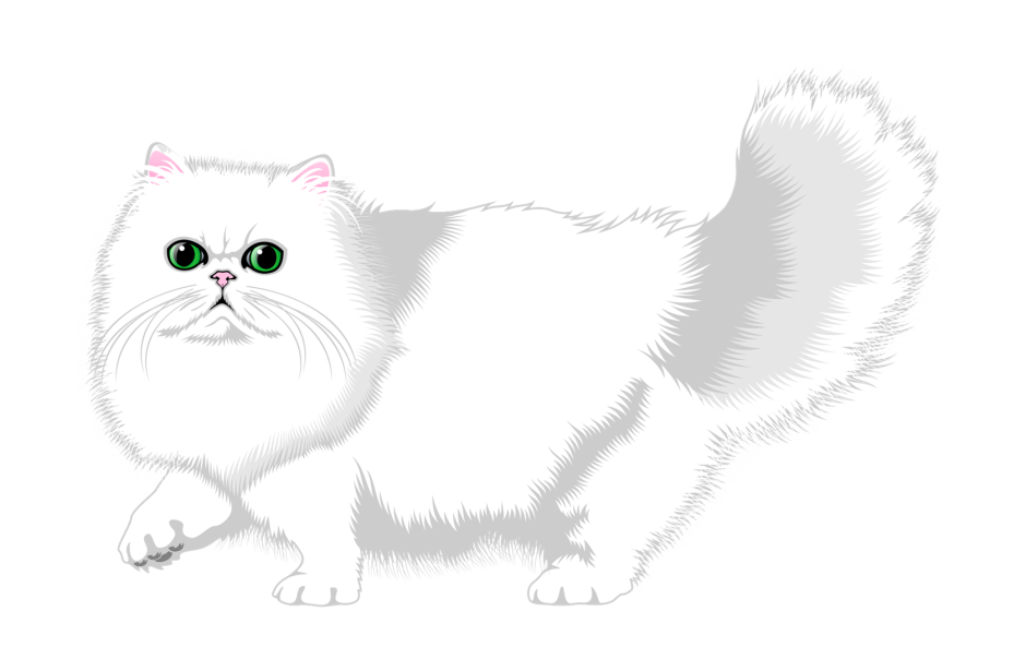 Белый мультяшный кот
