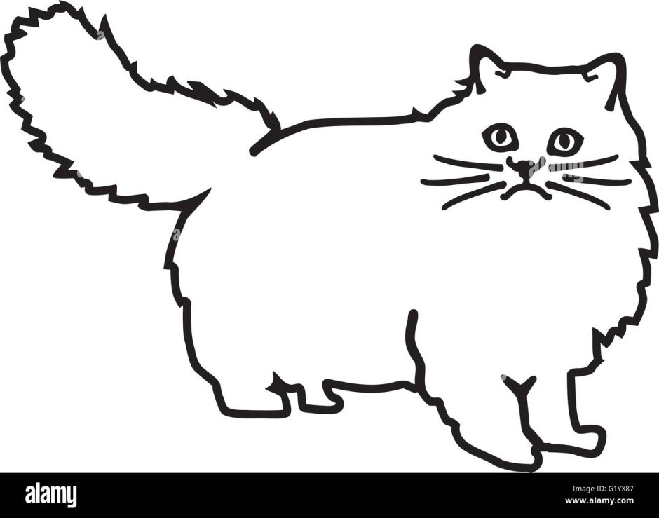 Персидская кошка раскраска