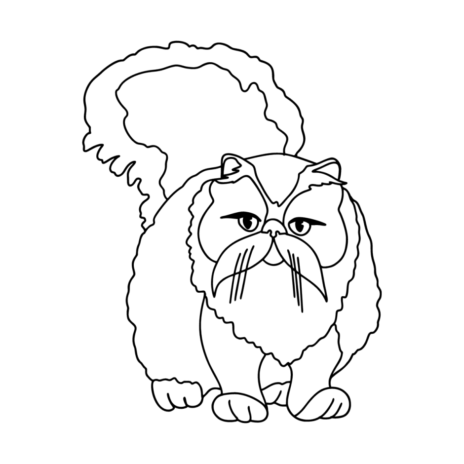 Раскраска кот перс