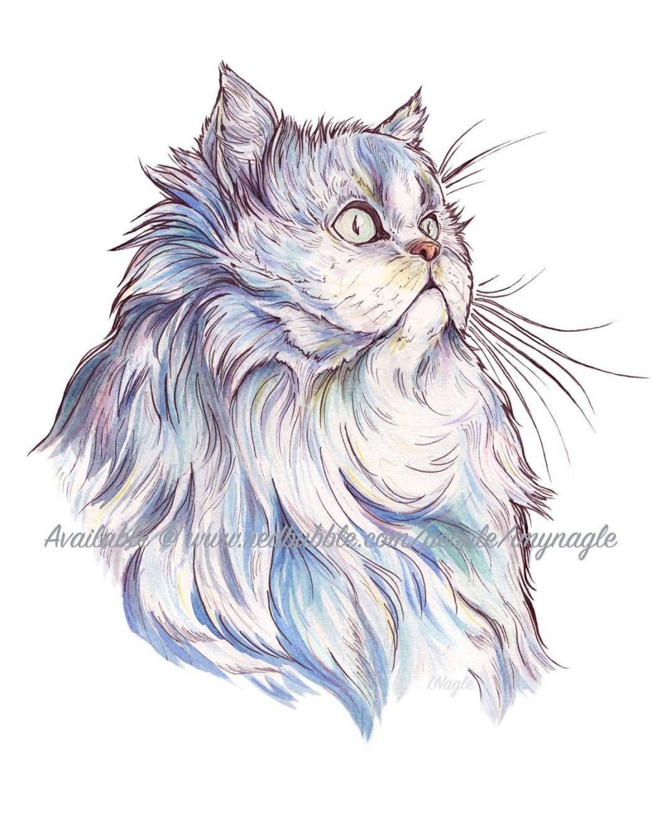 Тату персидский кот