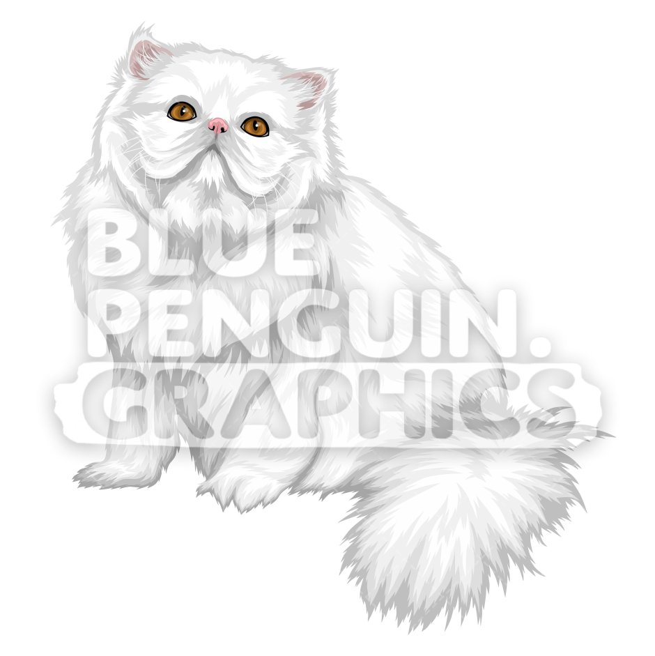 Персидская кошка серебристая рисунок