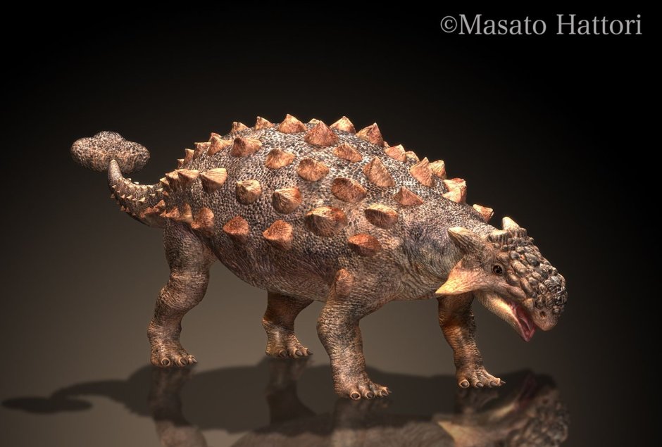 Анкилозавр тархия