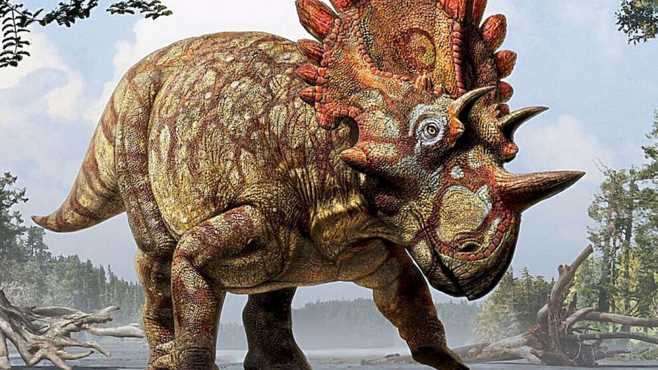 Травоядные динозавры Трицератопс