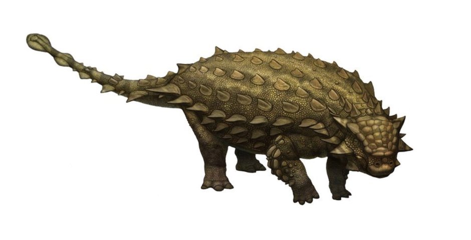 Динозавр с панцирем на голове