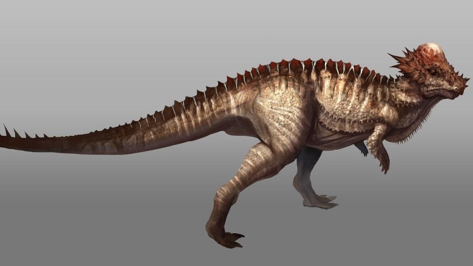 Pachycephalosaurus Saurian