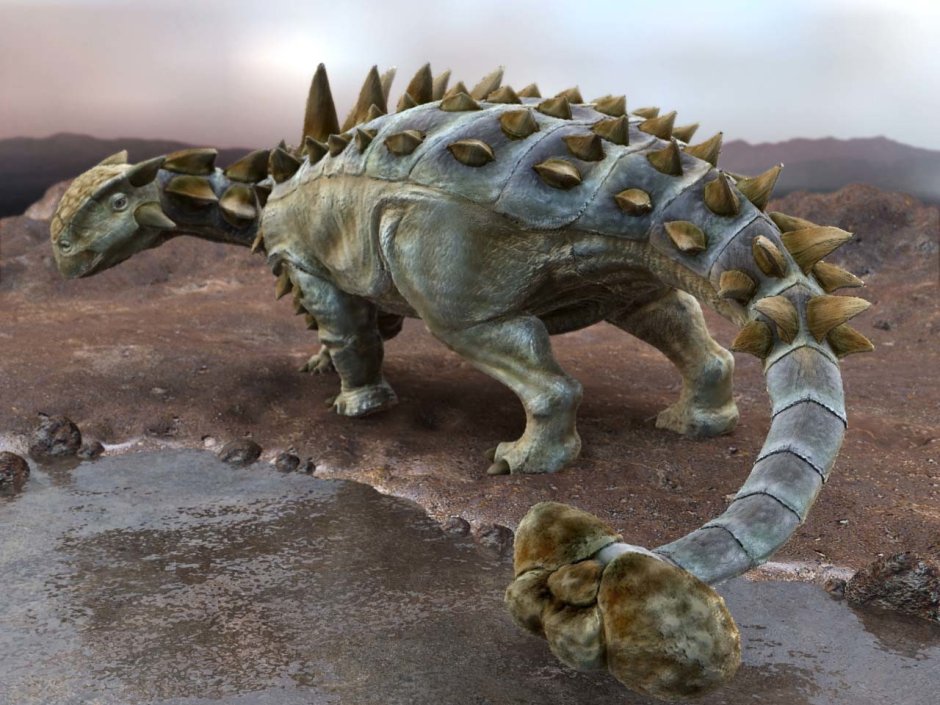 Анкилозавр динозавр