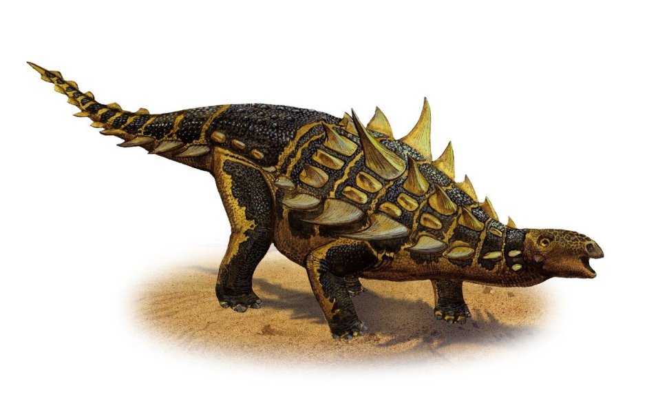 Анкилозавр и Гастония