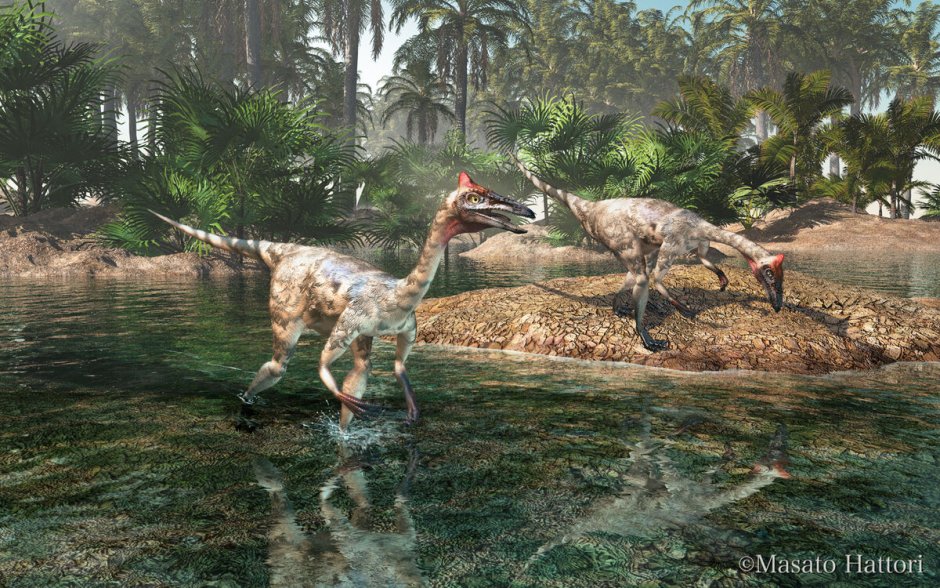 Пеликанимим динозавр