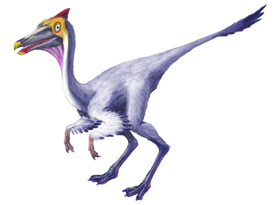 Пеликанимим динозавр