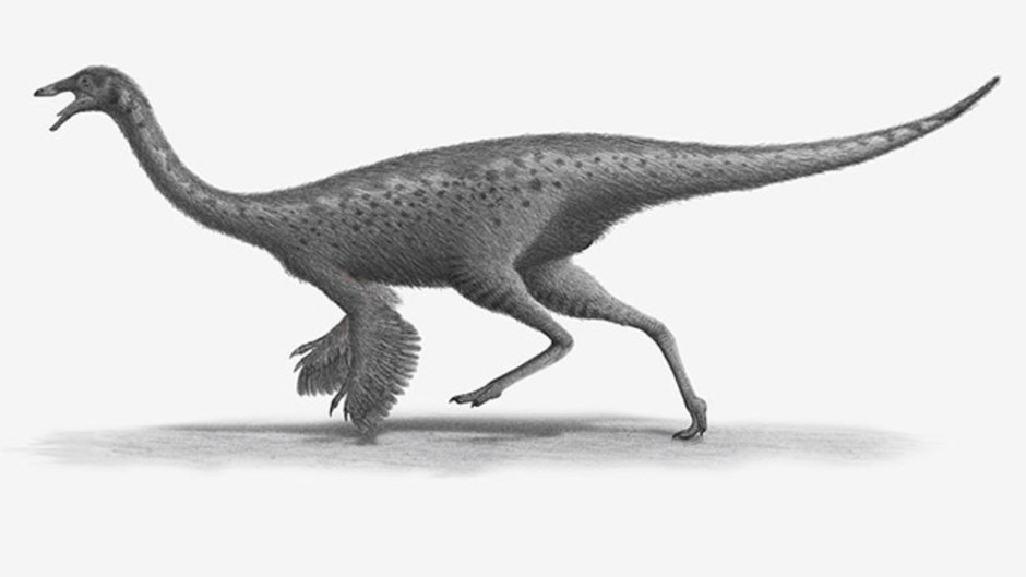 Галлимимус АРК